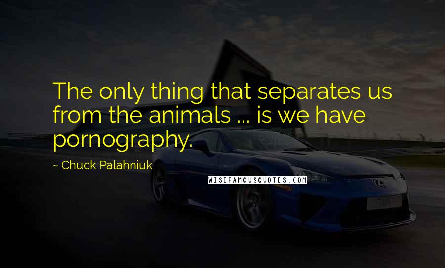 Chuck Palahniuk Quotes: The only thing that separates us from the animals ... is we have pornography.