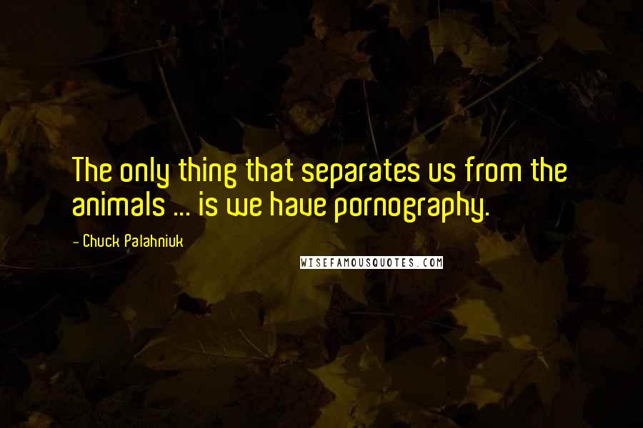 Chuck Palahniuk Quotes: The only thing that separates us from the animals ... is we have pornography.