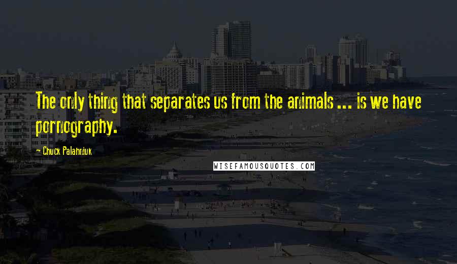 Chuck Palahniuk Quotes: The only thing that separates us from the animals ... is we have pornography.