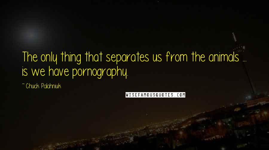 Chuck Palahniuk Quotes: The only thing that separates us from the animals ... is we have pornography.