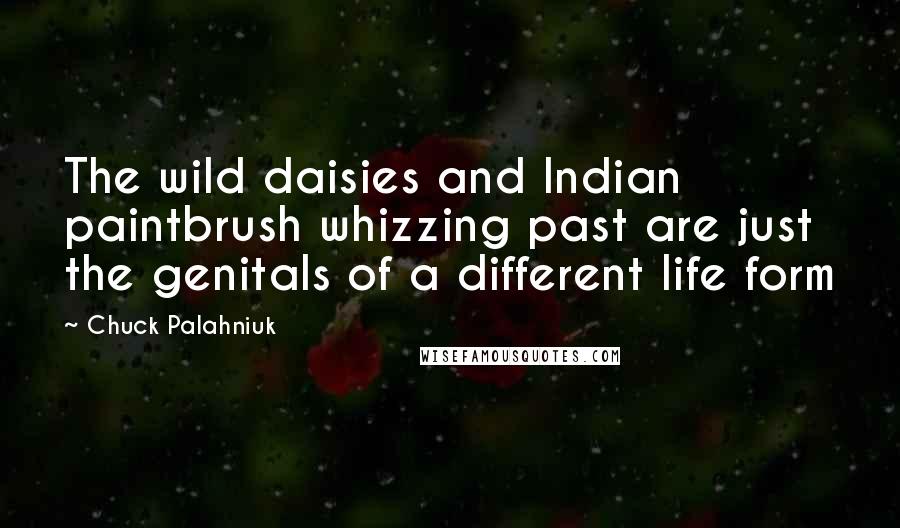 Chuck Palahniuk Quotes: The wild daisies and Indian paintbrush whizzing past are just the genitals of a different life form