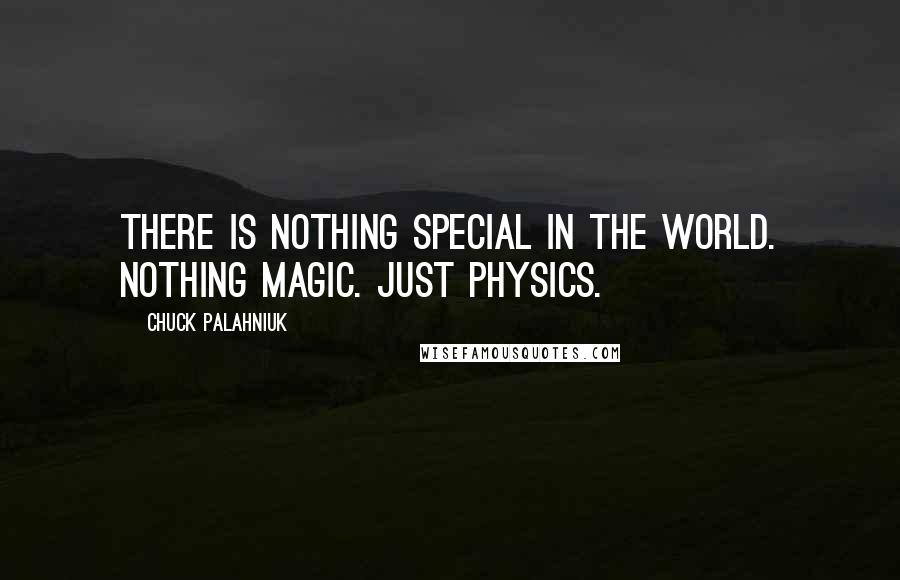 Chuck Palahniuk Quotes: There is nothing special in the world. nothing magic. just physics.