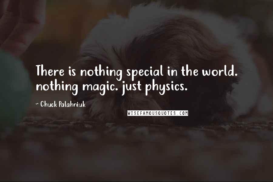 Chuck Palahniuk Quotes: There is nothing special in the world. nothing magic. just physics.