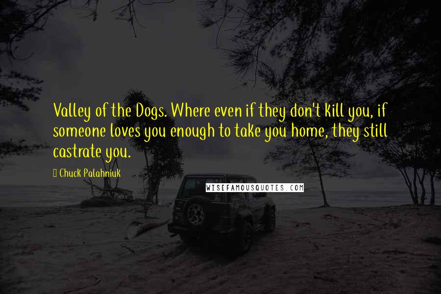 Chuck Palahniuk Quotes: Valley of the Dogs. Where even if they don't kill you, if someone loves you enough to take you home, they still castrate you.