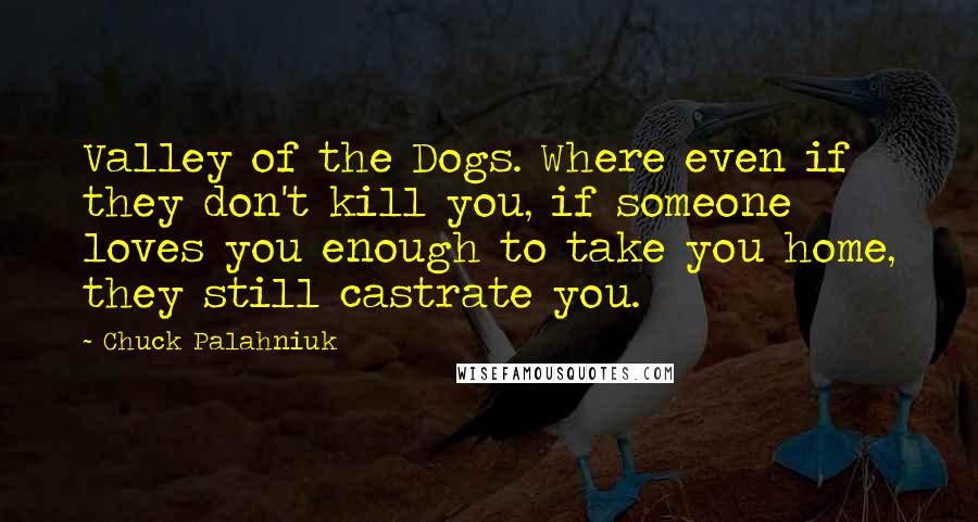 Chuck Palahniuk Quotes: Valley of the Dogs. Where even if they don't kill you, if someone loves you enough to take you home, they still castrate you.