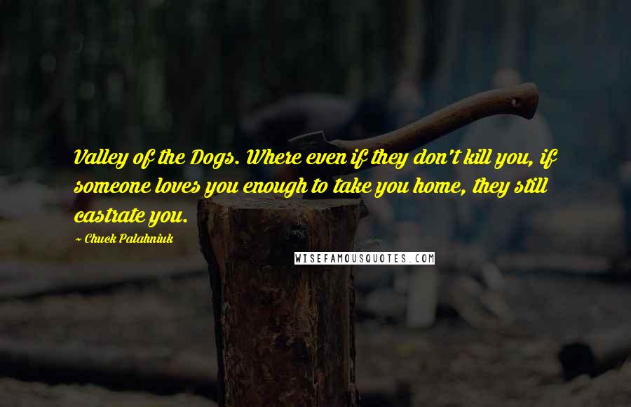 Chuck Palahniuk Quotes: Valley of the Dogs. Where even if they don't kill you, if someone loves you enough to take you home, they still castrate you.