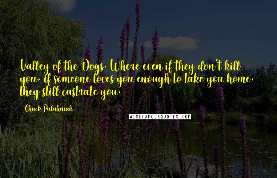Chuck Palahniuk Quotes: Valley of the Dogs. Where even if they don't kill you, if someone loves you enough to take you home, they still castrate you.