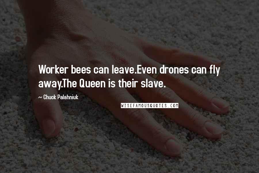 Chuck Palahniuk Quotes: Worker bees can leave.Even drones can fly away.The Queen is their slave.