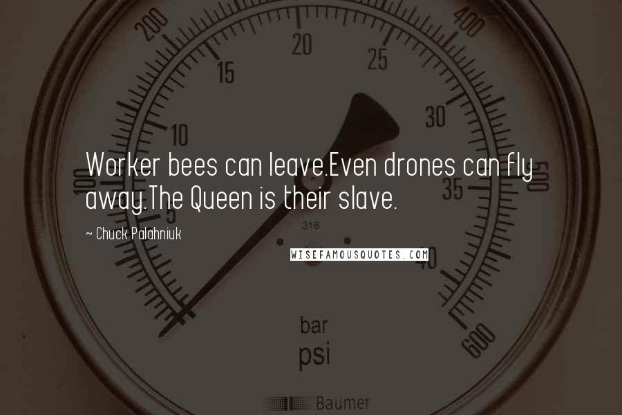 Chuck Palahniuk Quotes: Worker bees can leave.Even drones can fly away.The Queen is their slave.