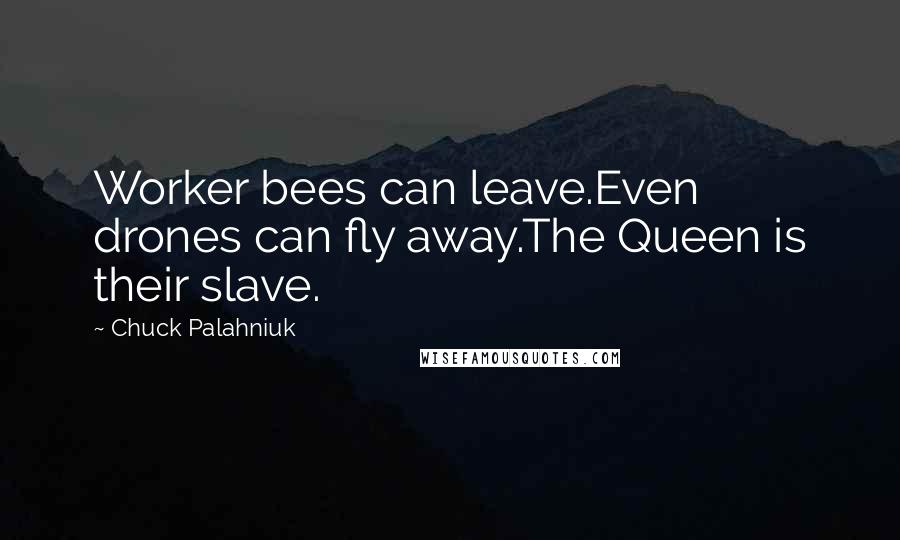 Chuck Palahniuk Quotes: Worker bees can leave.Even drones can fly away.The Queen is their slave.