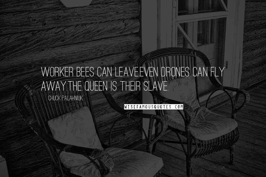 Chuck Palahniuk Quotes: Worker bees can leave.Even drones can fly away.The Queen is their slave.