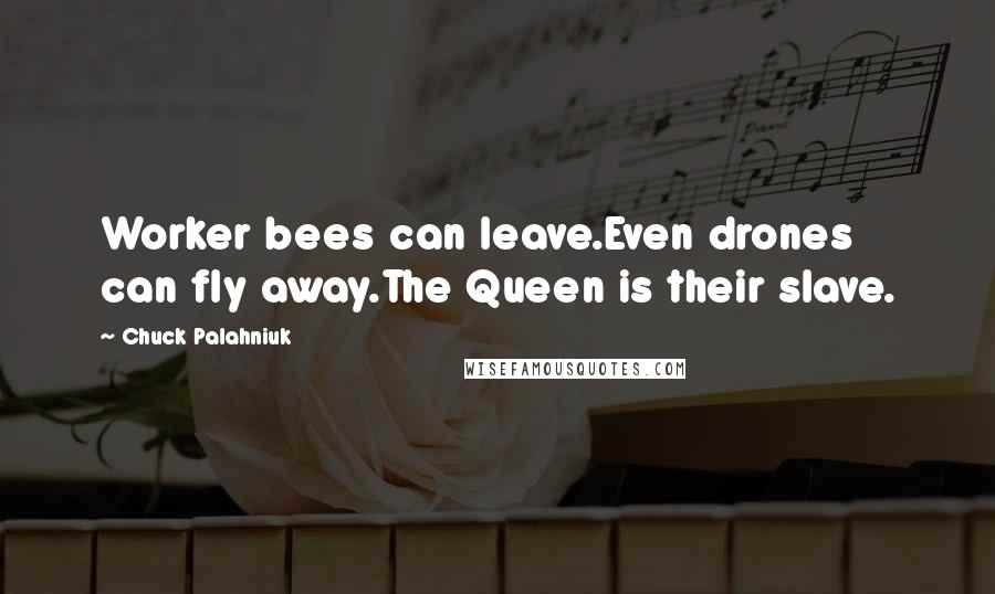 Chuck Palahniuk Quotes: Worker bees can leave.Even drones can fly away.The Queen is their slave.