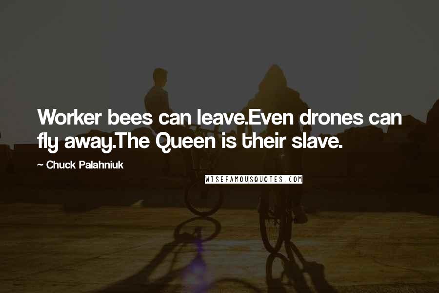 Chuck Palahniuk Quotes: Worker bees can leave.Even drones can fly away.The Queen is their slave.