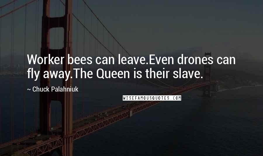 Chuck Palahniuk Quotes: Worker bees can leave.Even drones can fly away.The Queen is their slave.