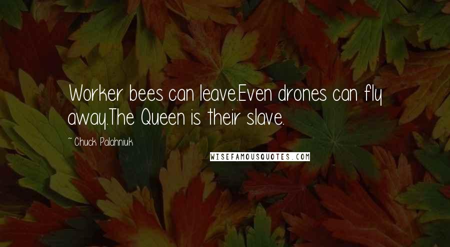 Chuck Palahniuk Quotes: Worker bees can leave.Even drones can fly away.The Queen is their slave.