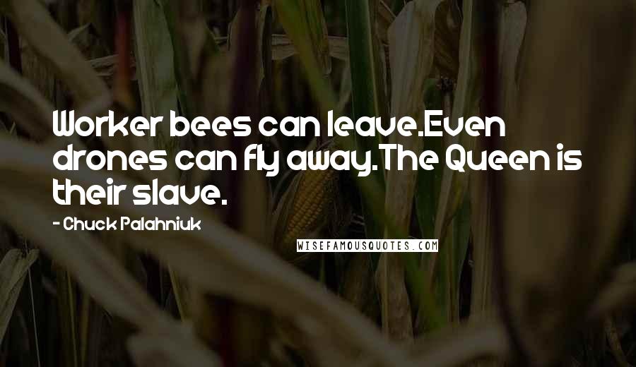 Chuck Palahniuk Quotes: Worker bees can leave.Even drones can fly away.The Queen is their slave.