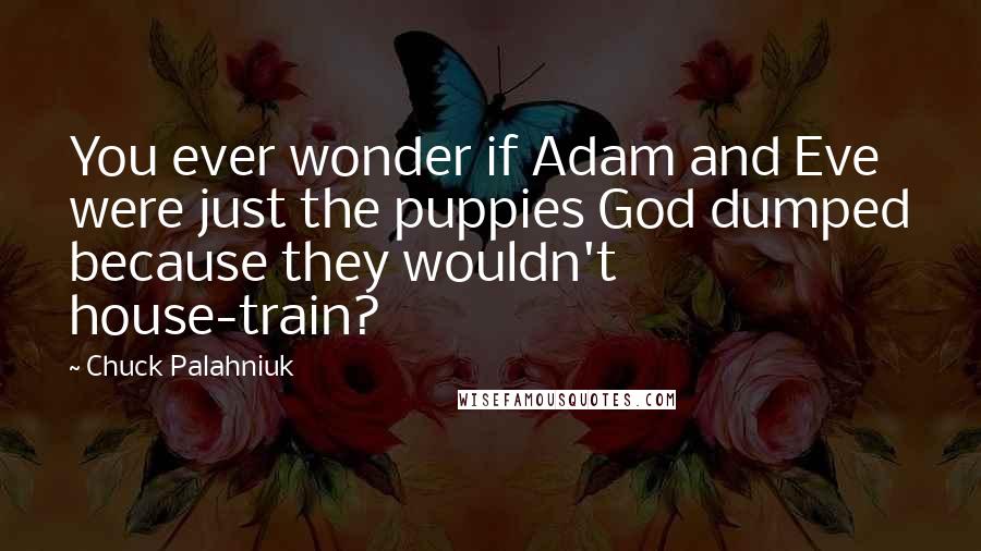 Chuck Palahniuk Quotes: You ever wonder if Adam and Eve were just the puppies God dumped because they wouldn't house-train?