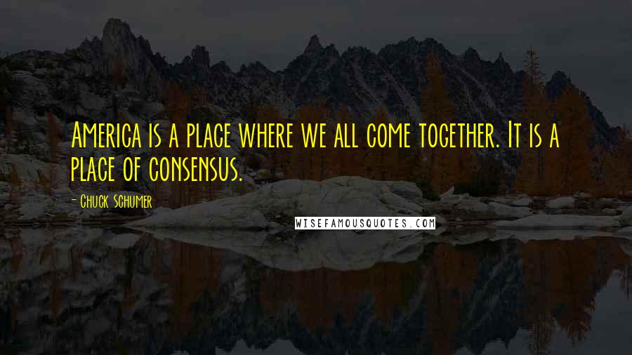 Chuck Schumer Quotes: America is a place where we all come together. It is a place of consensus.