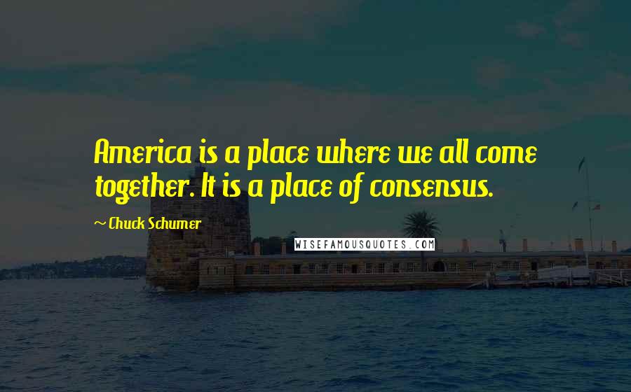 Chuck Schumer Quotes: America is a place where we all come together. It is a place of consensus.