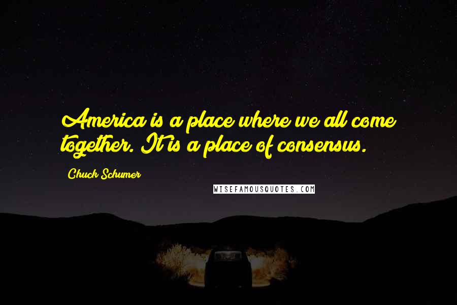 Chuck Schumer Quotes: America is a place where we all come together. It is a place of consensus.