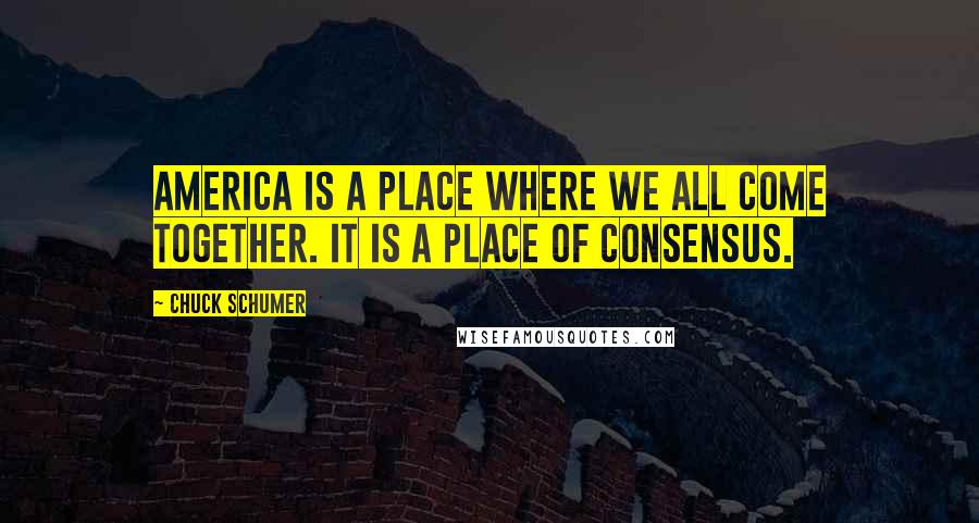 Chuck Schumer Quotes: America is a place where we all come together. It is a place of consensus.