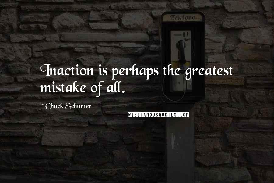 Chuck Schumer Quotes: Inaction is perhaps the greatest mistake of all.