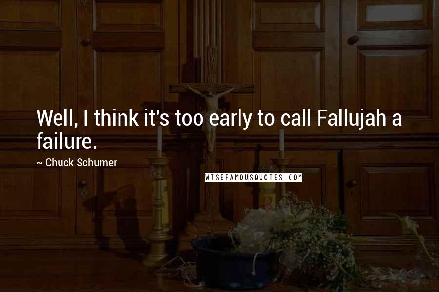 Chuck Schumer Quotes: Well, I think it's too early to call Fallujah a failure.