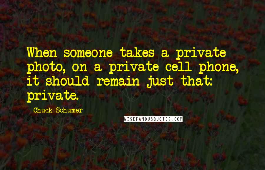 Chuck Schumer Quotes: When someone takes a private photo, on a private cell phone, it should remain just that: private.