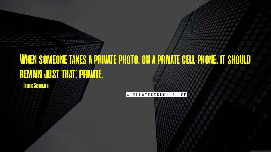 Chuck Schumer Quotes: When someone takes a private photo, on a private cell phone, it should remain just that: private.