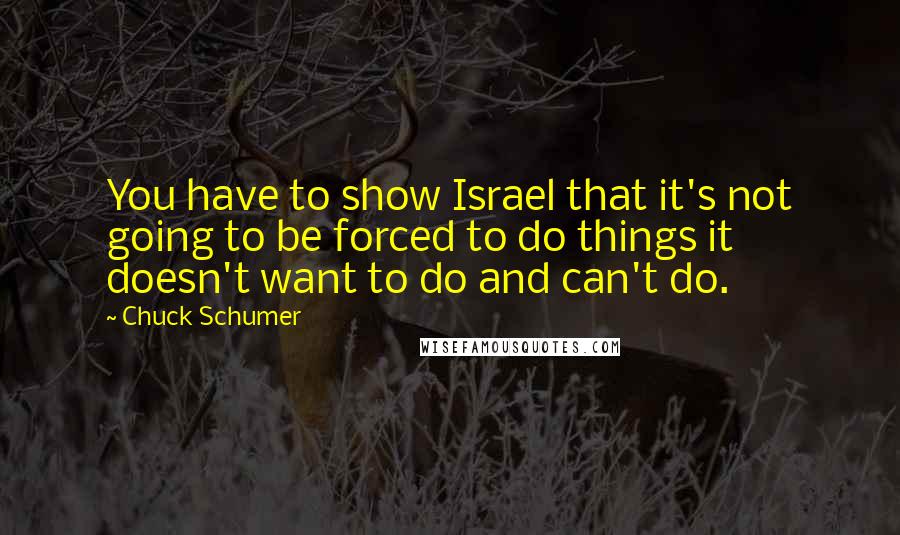 Chuck Schumer Quotes: You have to show Israel that it's not going to be forced to do things it doesn't want to do and can't do.