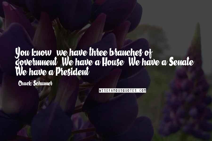 Chuck Schumer Quotes: You know, we have three branches of government. We have a House. We have a Senate. We have a President.