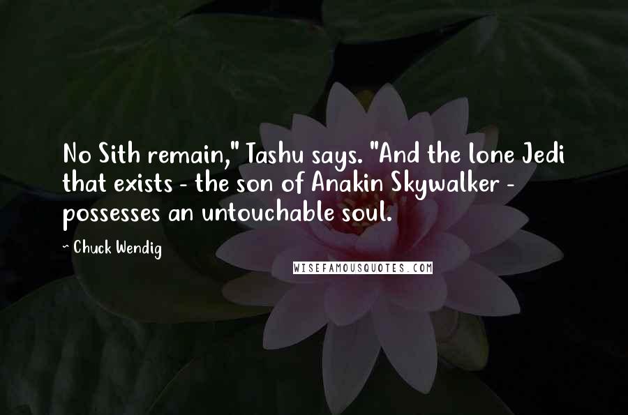 Chuck Wendig Quotes: No Sith remain," Tashu says. "And the lone Jedi that exists - the son of Anakin Skywalker - possesses an untouchable soul.