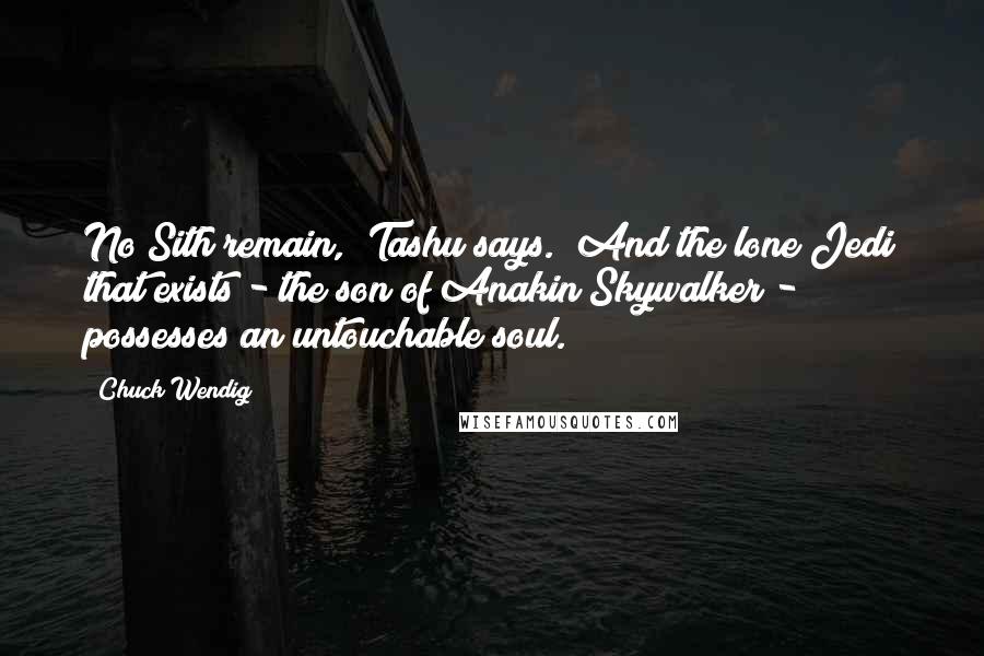 Chuck Wendig Quotes: No Sith remain," Tashu says. "And the lone Jedi that exists - the son of Anakin Skywalker - possesses an untouchable soul.