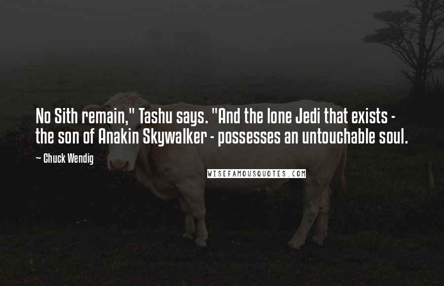 Chuck Wendig Quotes: No Sith remain," Tashu says. "And the lone Jedi that exists - the son of Anakin Skywalker - possesses an untouchable soul.