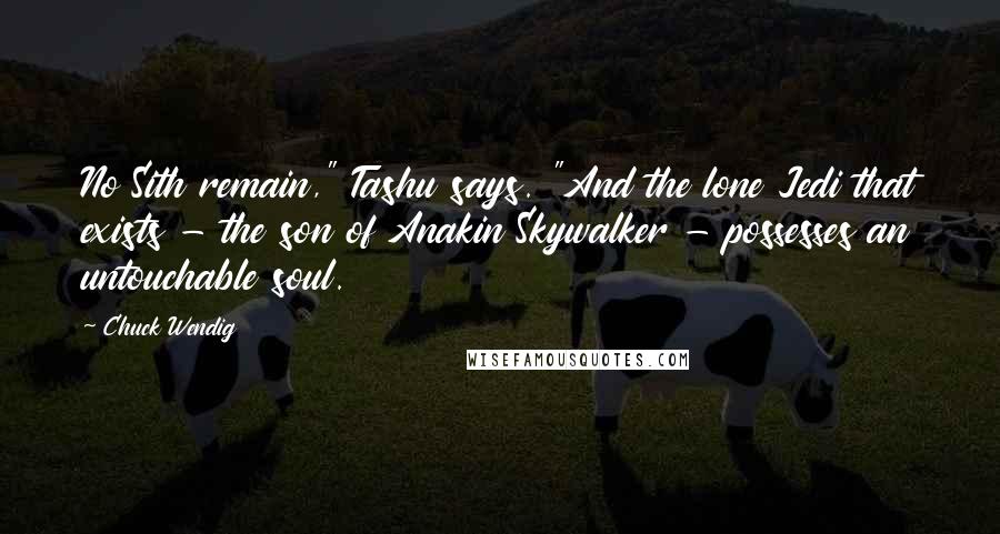 Chuck Wendig Quotes: No Sith remain," Tashu says. "And the lone Jedi that exists - the son of Anakin Skywalker - possesses an untouchable soul.
