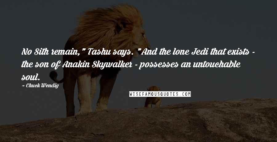 Chuck Wendig Quotes: No Sith remain," Tashu says. "And the lone Jedi that exists - the son of Anakin Skywalker - possesses an untouchable soul.