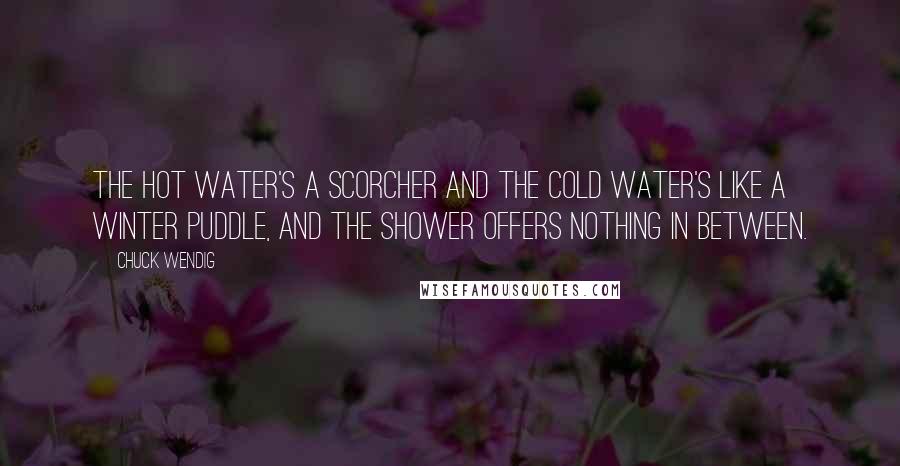 Chuck Wendig Quotes: THE HOT WATER'S a scorcher and the cold water's like a winter puddle, and the shower offers nothing in between.