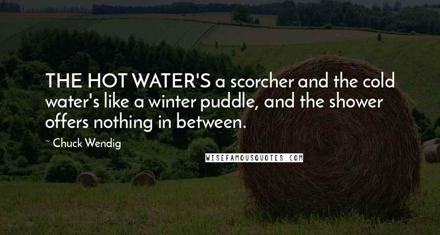 Chuck Wendig Quotes: THE HOT WATER'S a scorcher and the cold water's like a winter puddle, and the shower offers nothing in between.