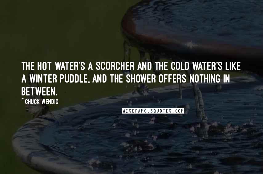 Chuck Wendig Quotes: THE HOT WATER'S a scorcher and the cold water's like a winter puddle, and the shower offers nothing in between.