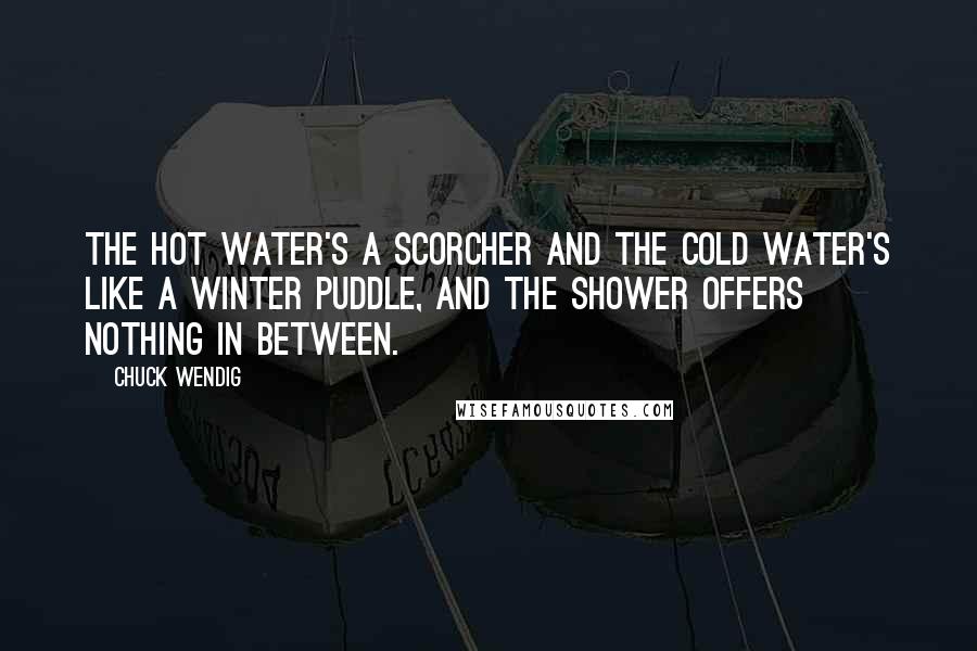 Chuck Wendig Quotes: THE HOT WATER'S a scorcher and the cold water's like a winter puddle, and the shower offers nothing in between.