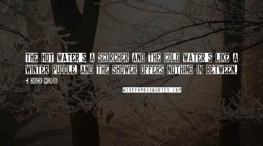 Chuck Wendig Quotes: THE HOT WATER'S a scorcher and the cold water's like a winter puddle, and the shower offers nothing in between.