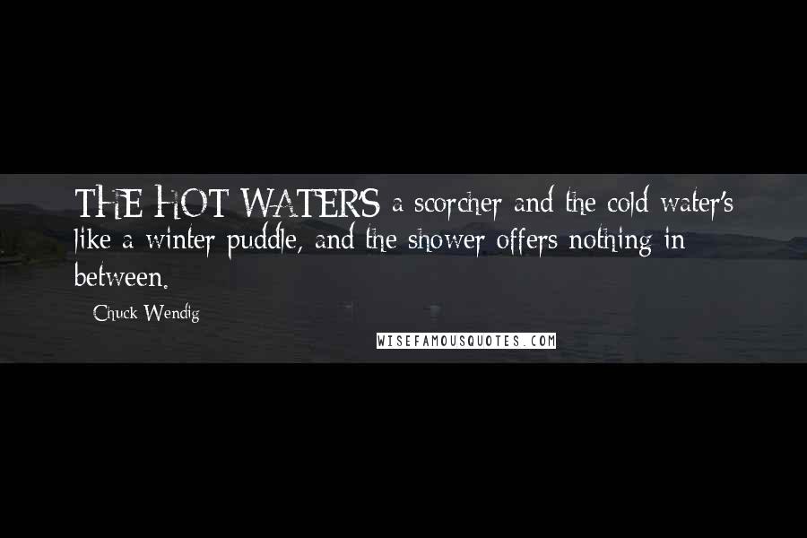 Chuck Wendig Quotes: THE HOT WATER'S a scorcher and the cold water's like a winter puddle, and the shower offers nothing in between.