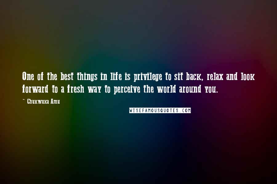 Chukwuka Amu Quotes: One of the best things in life is privilege to sit back, relax and look forward to a fresh way to perceive the world around you.