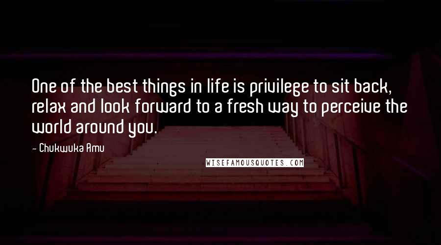 Chukwuka Amu Quotes: One of the best things in life is privilege to sit back, relax and look forward to a fresh way to perceive the world around you.
