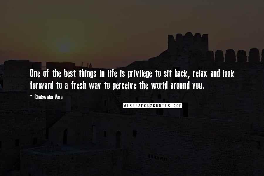 Chukwuka Amu Quotes: One of the best things in life is privilege to sit back, relax and look forward to a fresh way to perceive the world around you.