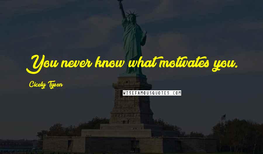 Cicely Tyson Quotes: You never know what motivates you.
