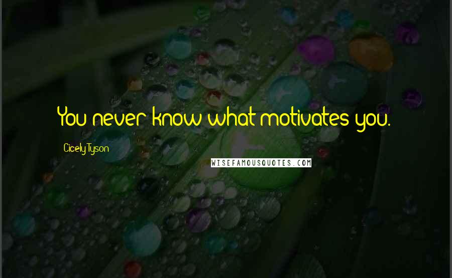 Cicely Tyson Quotes: You never know what motivates you.