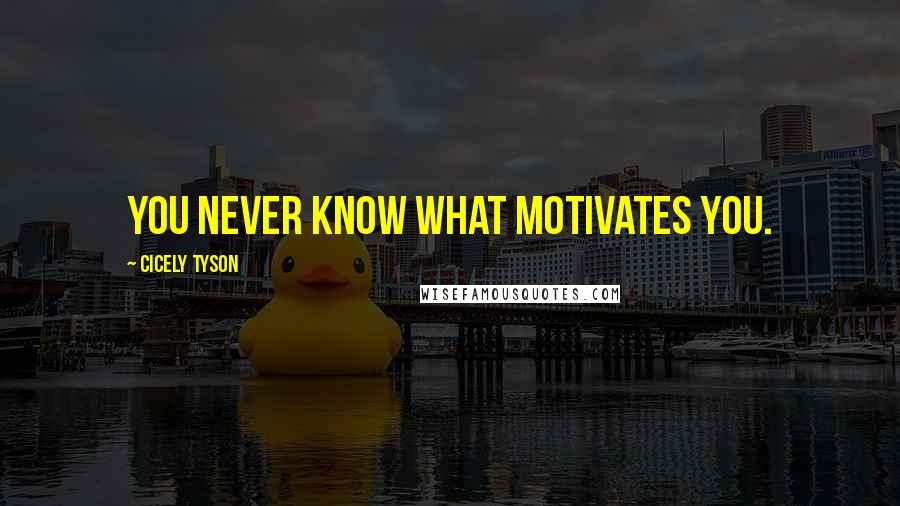 Cicely Tyson Quotes: You never know what motivates you.