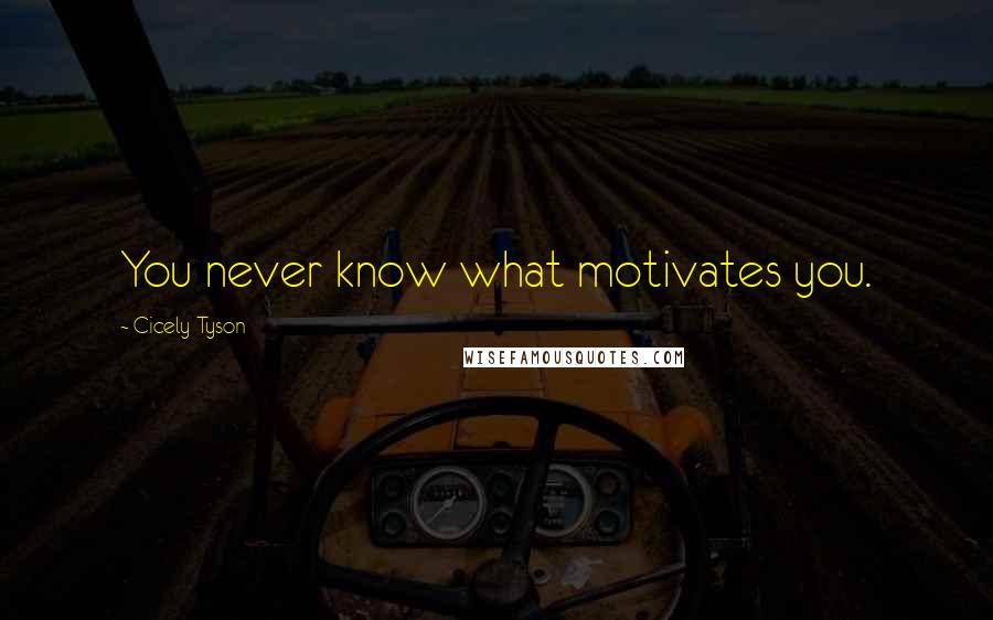 Cicely Tyson Quotes: You never know what motivates you.