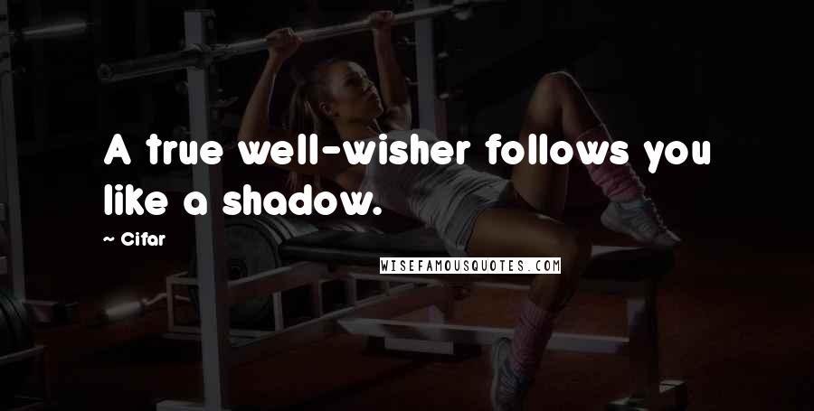 Cifar Quotes: A true well-wisher follows you like a shadow.